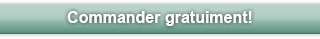 Erp Guide Commander gratuiment!